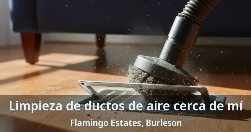 Limpieza de ductos de aire cerca de mí Flamingo Estates, Burleson - TX Limpieza de ductos de aire cerca de mí Flamingo Estates, Burleson - TX
