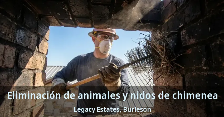 Eliminación de animales y nidos de chimenea Legacy Estates, Burleson - TX Eliminación de animales y nidos de chimenea Legacy Estates, Burleson - TX