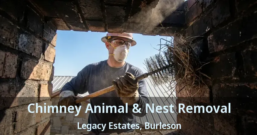 Chimney Animal & Nest Removal Legacy Estates, Burleson - TX Chimney Animal & Nest Removal Legacy Estates, Burleson - TX
