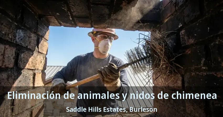 Eliminación de animales y nidos de chimenea Saddle Hills Estates, Burleson - TX