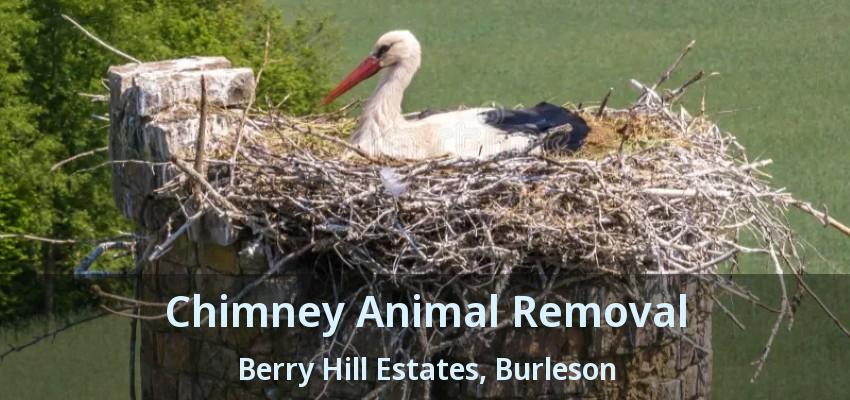 Chimney Animal Removal Berry Hill Estates, Burleson - TX Chimney Animal Removal Berry Hill Estates, Burleson - TX