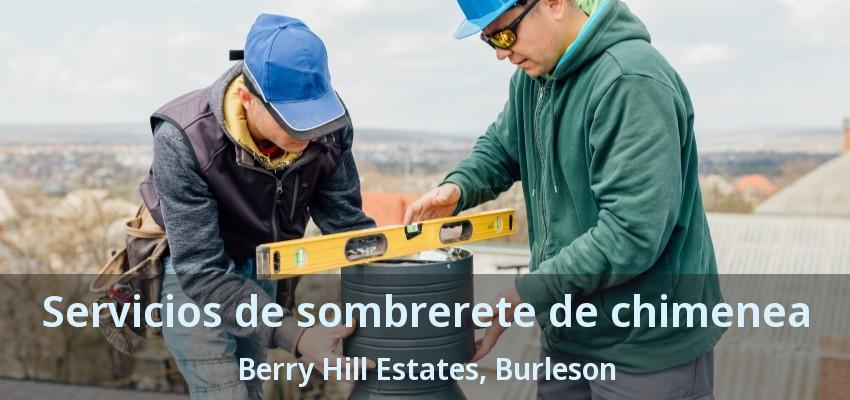 Servicios de sombrerete de chimenea Berry Hill Estates, Burleson - TX