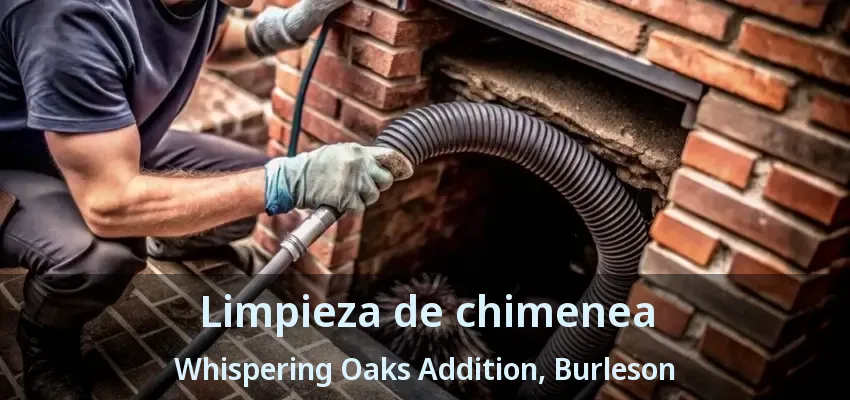 Limpieza de chimenea Whispering Oaks Addition, Burleson - TX