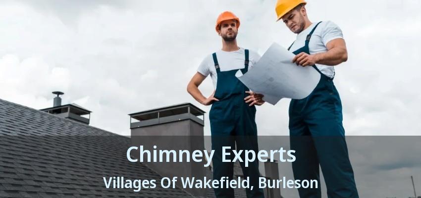 Chimney Experts Villages Of Wakefield, Burleson - TX