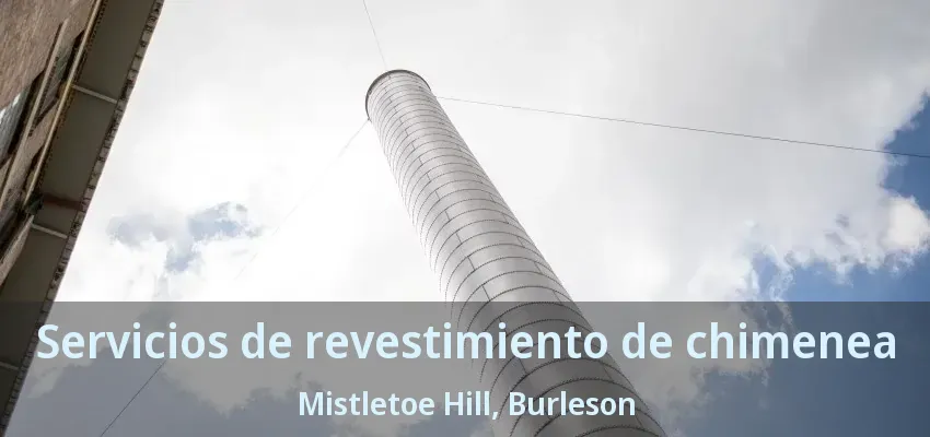 Servicios de revestimiento de chimenea Mistletoe Hill, Burleson - TX