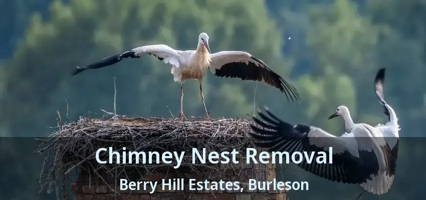 Chimney Nest Removal Berry Hill Estates, Burleson - TX