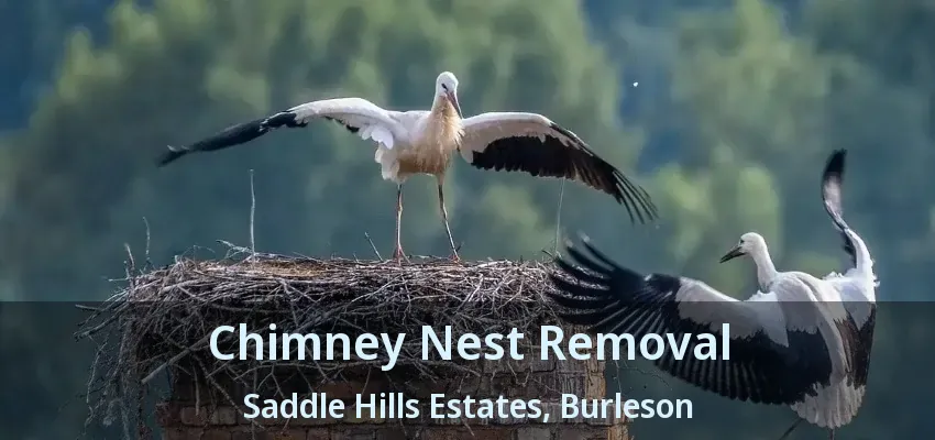 Chimney Nest Removal Saddle Hills Estates, Burleson - TX Chimney Nest Removal Saddle Hills Estates, Burleson - TX