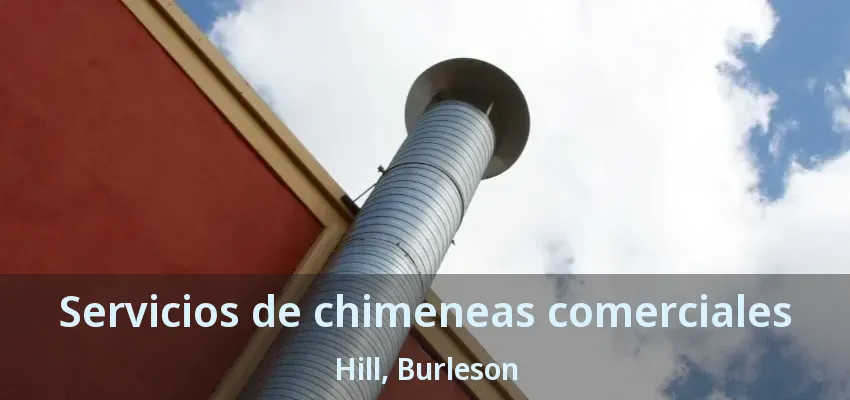 Servicios de chimeneas comerciales Hill, Burleson - TX