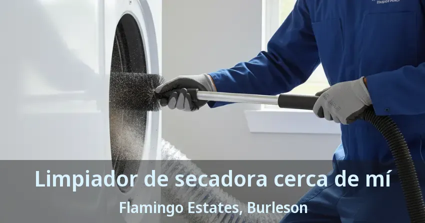 Limpiador de secadora cerca de mí Flamingo Estates, Burleson - TX
