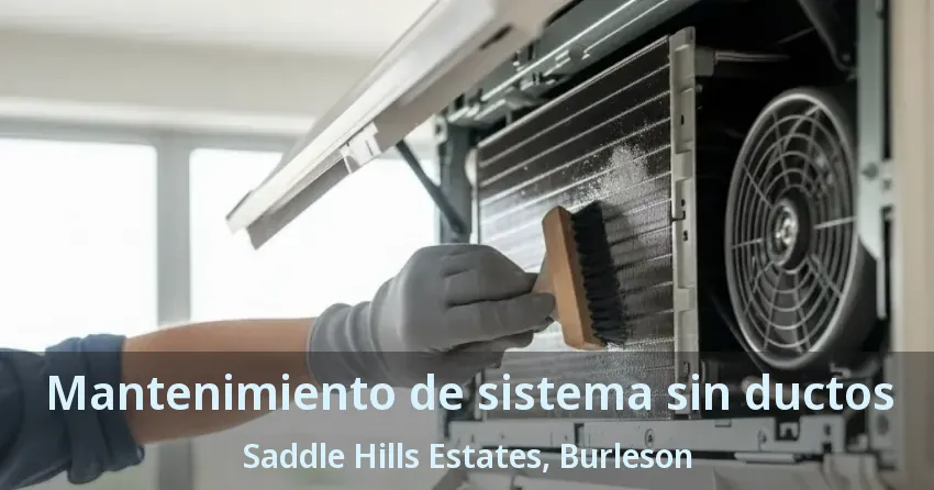 Mantenimiento de sistema sin ductos Saddle Hills Estates, Burleson - TX