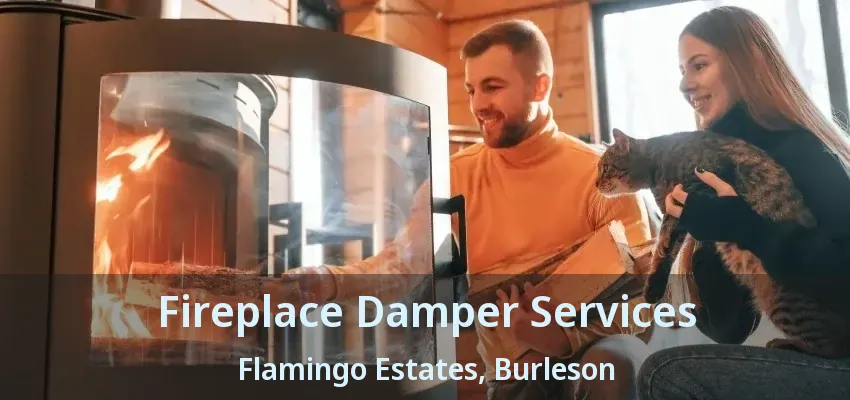 Fireplace Damper Services Flamingo Estates, Burleson - TX
