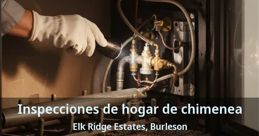 Inspecciones de hogar de chimenea Elk Ridge Estates, Burleson - TX