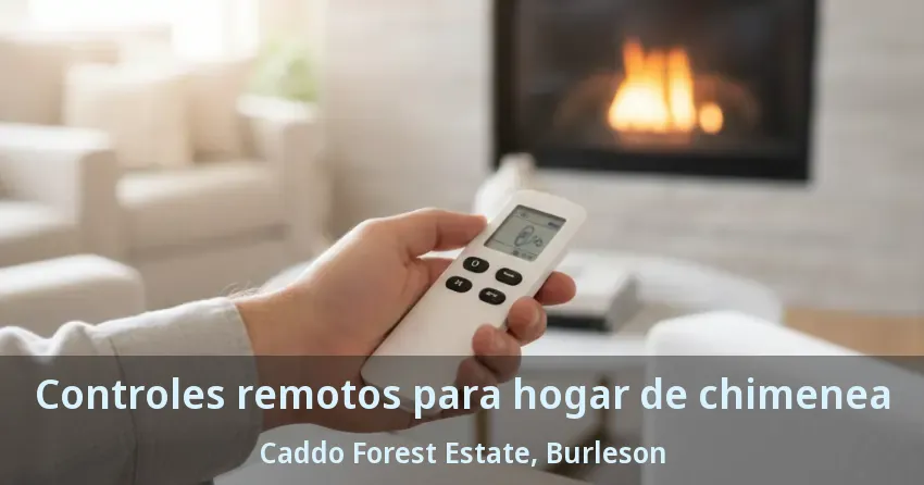 Controles remotos para hogar de chimenea Caddo Forest Estate, Burleson - TX Controles remotos para hogar de chimenea Caddo Forest Estate, Burleson - TX