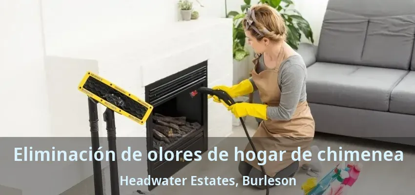 Eliminación de olores de hogar de chimenea Headwater Estates, Burleson - TX Eliminación de olores de hogar de chimenea Headwater Estates, Burleson - TX