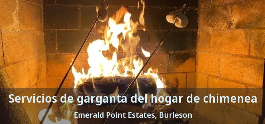 Servicios de garganta del hogar de chimenea Emerald Point Estates, Burleson - TX