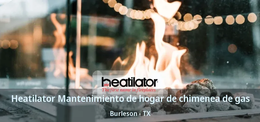 Heatilator Mantenimiento de hogar de chimenea de gas Burleson - TX