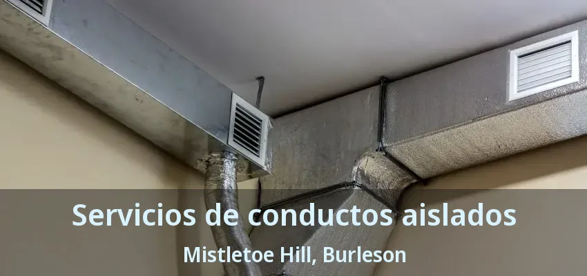 Servicios de conductos aislados Mistletoe Hill, Burleson - TX