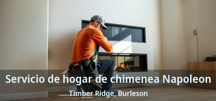 Servicio de hogar de chimenea Napoleon Timber Ridge, Burleson - TX Servicio de hogar de chimenea Napoleon Timber Ridge, Burleson - TX