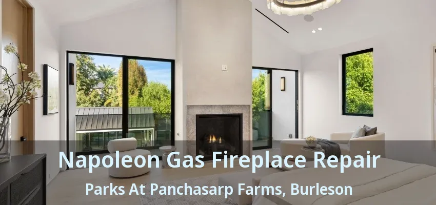 Napoleon Gas Fireplace Repair Parks At Panchasarp Farms, Burleson - TX