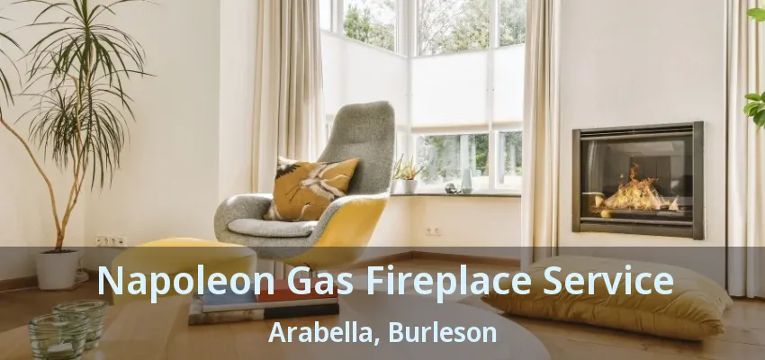 Napoleon Gas Fireplace Service Arabella, Burleson - TX Napoleon Gas Fireplace Service Arabella, Burleson - TX