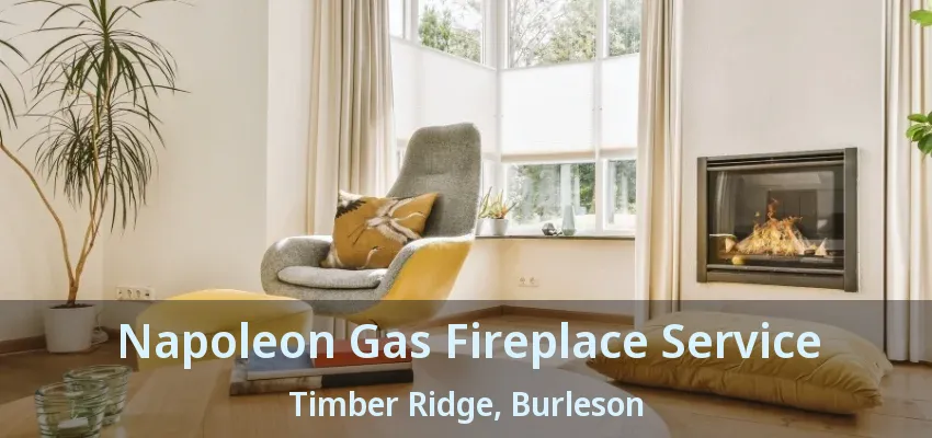 Napoleon Gas Fireplace Service Timber Ridge, Burleson - TX Napoleon Gas Fireplace Service Timber Ridge, Burleson - TX