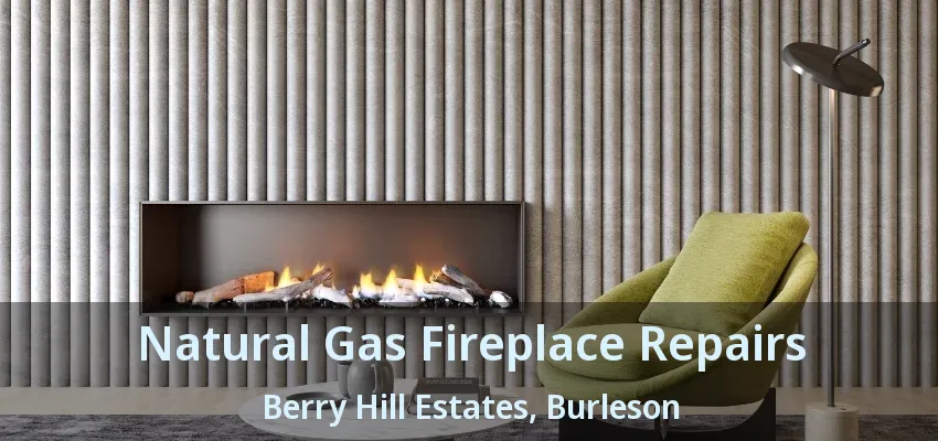 Natural Gas Fireplace Repairs Berry Hill Estates, Burleson - TX