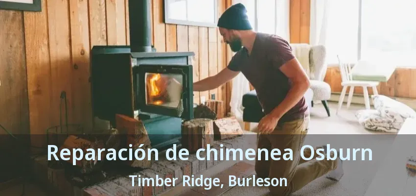 Reparación de chimenea Osburn Timber Ridge, Burleson - TX Reparación de chimenea Osburn Timber Ridge, Burleson - TX