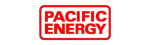 Pacific Energy Gas Fireplace Repair in Flamingo Estates, Burleson